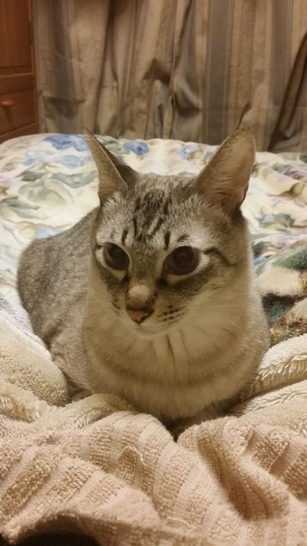 自己紹介/雑談/その他を使ったクチコミ（1枚目）