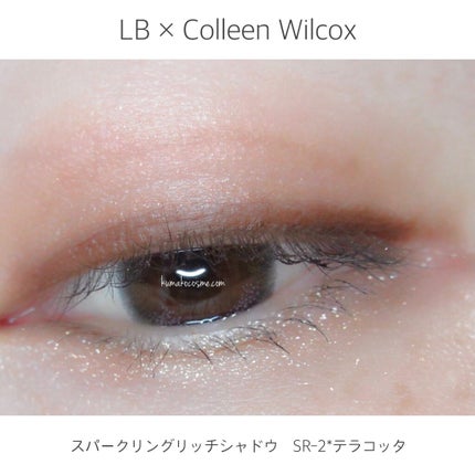 スパークリングリッチシャドウ/LB/アイシャドウパレットを使ったクチコミ(8枚目)