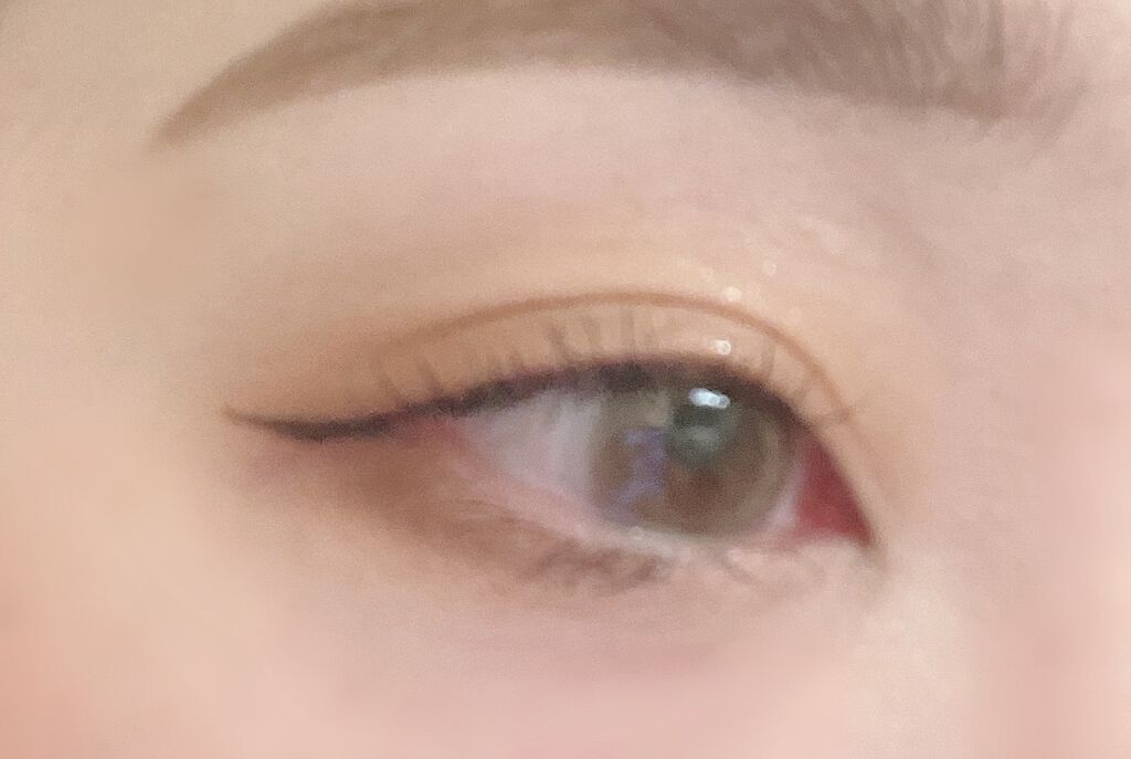 シャドウパレット/dasique/アイシャドウパレットを使ったクチコミ(2枚目)