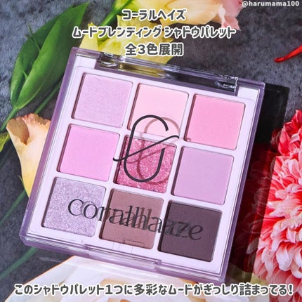 ソフトブラーチーク/Coralhaze/パウダーチークを使ったクチコミ(2枚目)