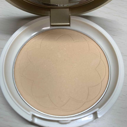 ラスティング リップカラーN/CEZANNE/口紅を使ったクチコミ(2枚目)