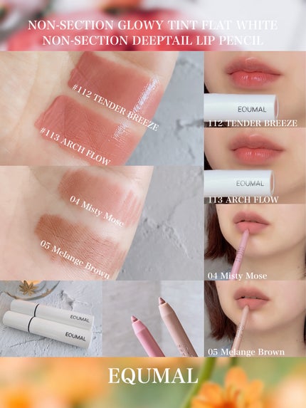 ノンセクション ディープテールリップペンシル 04 MISTY MOSE/EQUMAL/リップライナーの画像