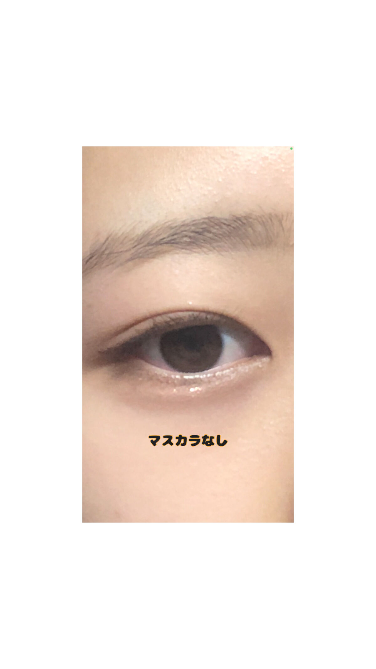 ハンオールフィックスマスカラ/rom&nd/マスカラを使ったクチコミ（2枚目）