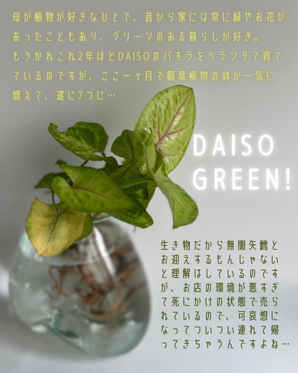 BETH /一重メイクと使い切り on LIPS 「【#monthlyfavorites】6月・7月のお気に入りア..」(6枚目)