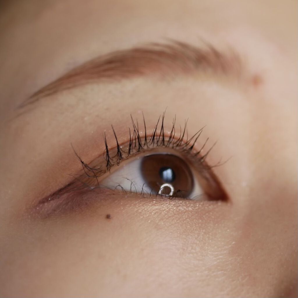 「塗るつけまつげ」ロングタイプ/デジャヴュ/マスカラを使ったクチコミ（3枚目）