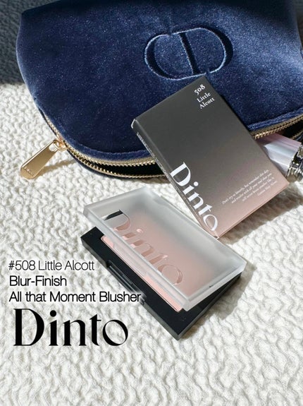 ブラーフィニシュブラッシャー/Dinto/パウダーチークを使ったクチコミ(1枚目)