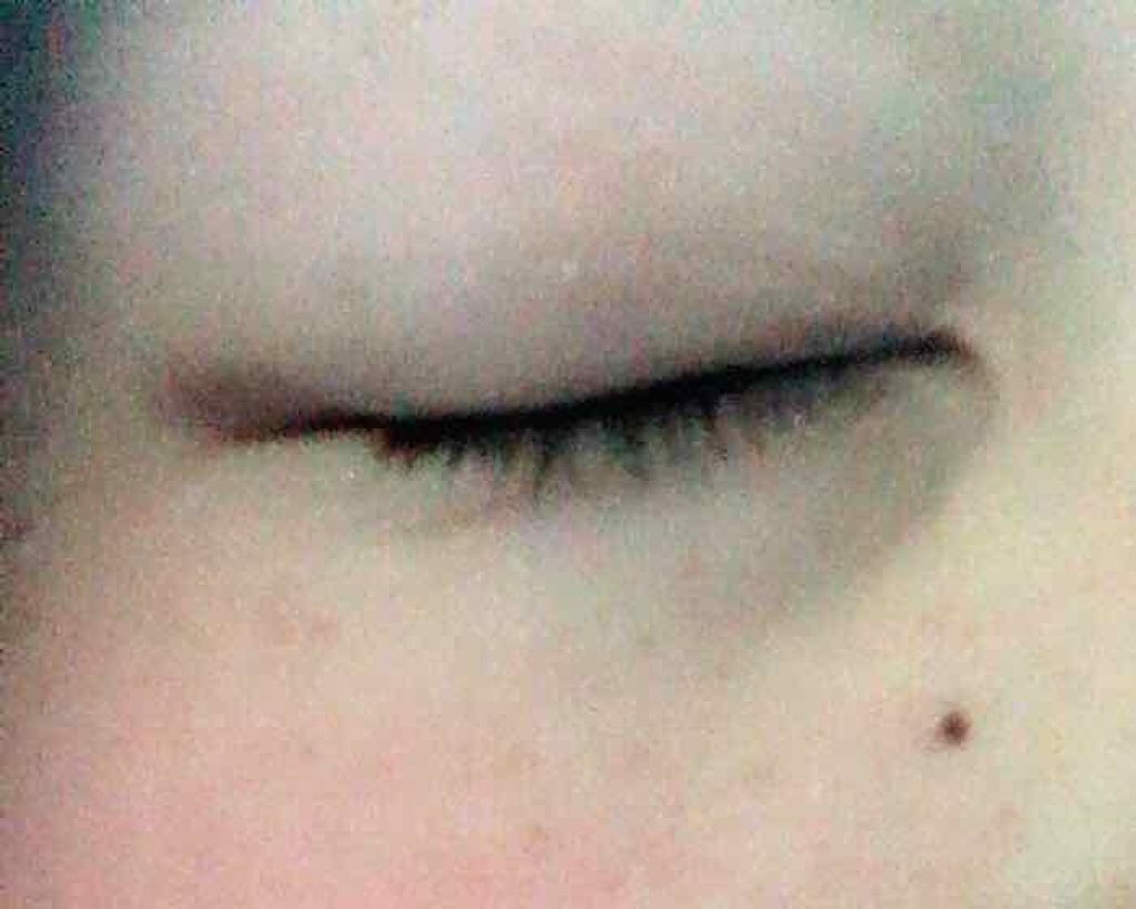 リシェ ラッシュ＆ブロウ フィクサー/Visée/マスカラ下地を使ったクチコミ（2枚目）