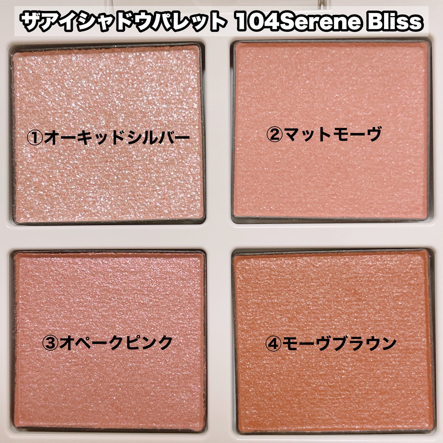 ホリデー アディクション サイレント ウィッシュⅡ /ADDICTION/メイクアップキットを使ったクチコミ(4枚目)