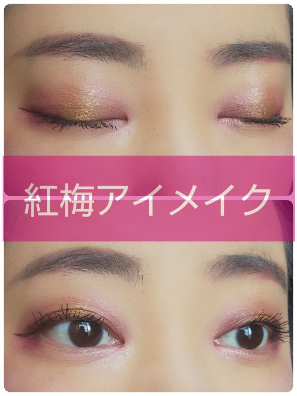 エクスクィシテ アイブローパレット/DAISO/パウダーアイブロウを使ったクチコミ（1枚目）