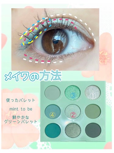 mint to be/ColourPop/アイシャドウパレットを使ったクチコミ（2枚目）