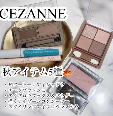 スタイリングアイブロウマスカラ/CEZANNE/眉マスカラを使ったクチコミ（1枚目）