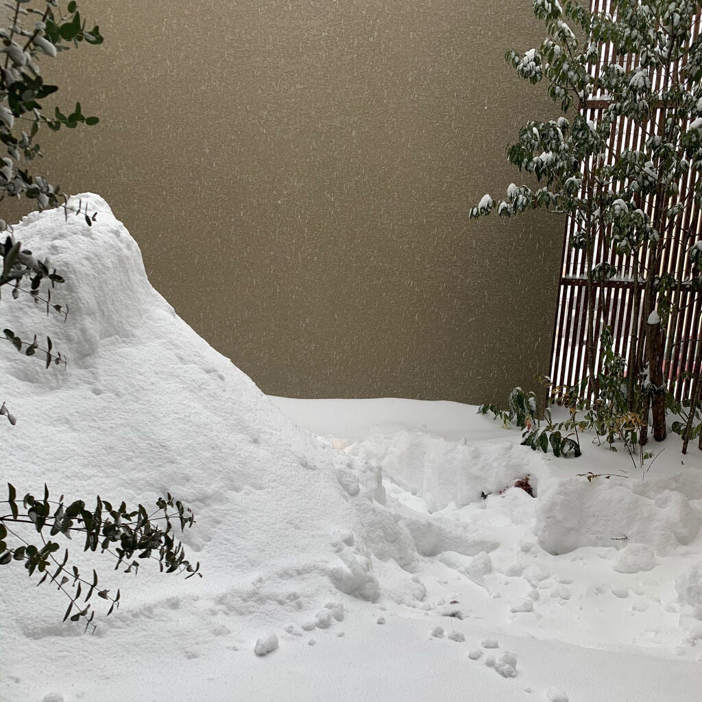 デザイニング カラー アイズ/SUQQU/アイシャドウパレットを使ったクチコミ(7枚目)