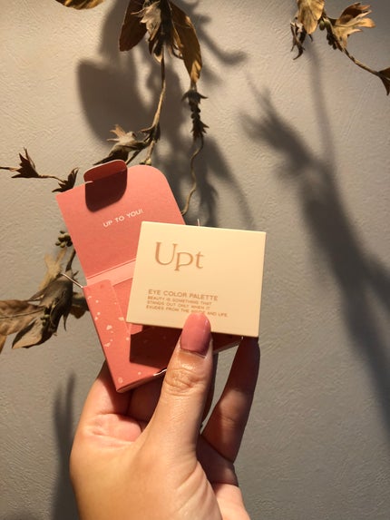 アイカラーパレット/Upt/アイシャドウパレットを使ったクチコミ(1枚目)