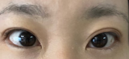 アニマルアイシャドウ(4シェード)/ZEESEA/アイシャドウパレットを使ったクチコミ(9枚目)