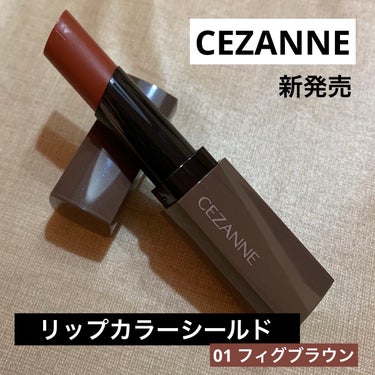 リップカラーシールド/CEZANNE/口紅を使ったクチコミ（1枚目）