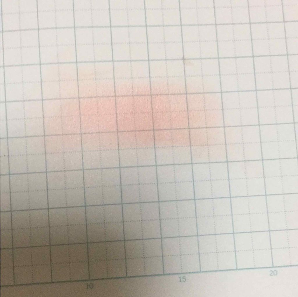 エルファー マルチチーク/DAISO/パウダーチークを使ったクチコミ(2枚目)