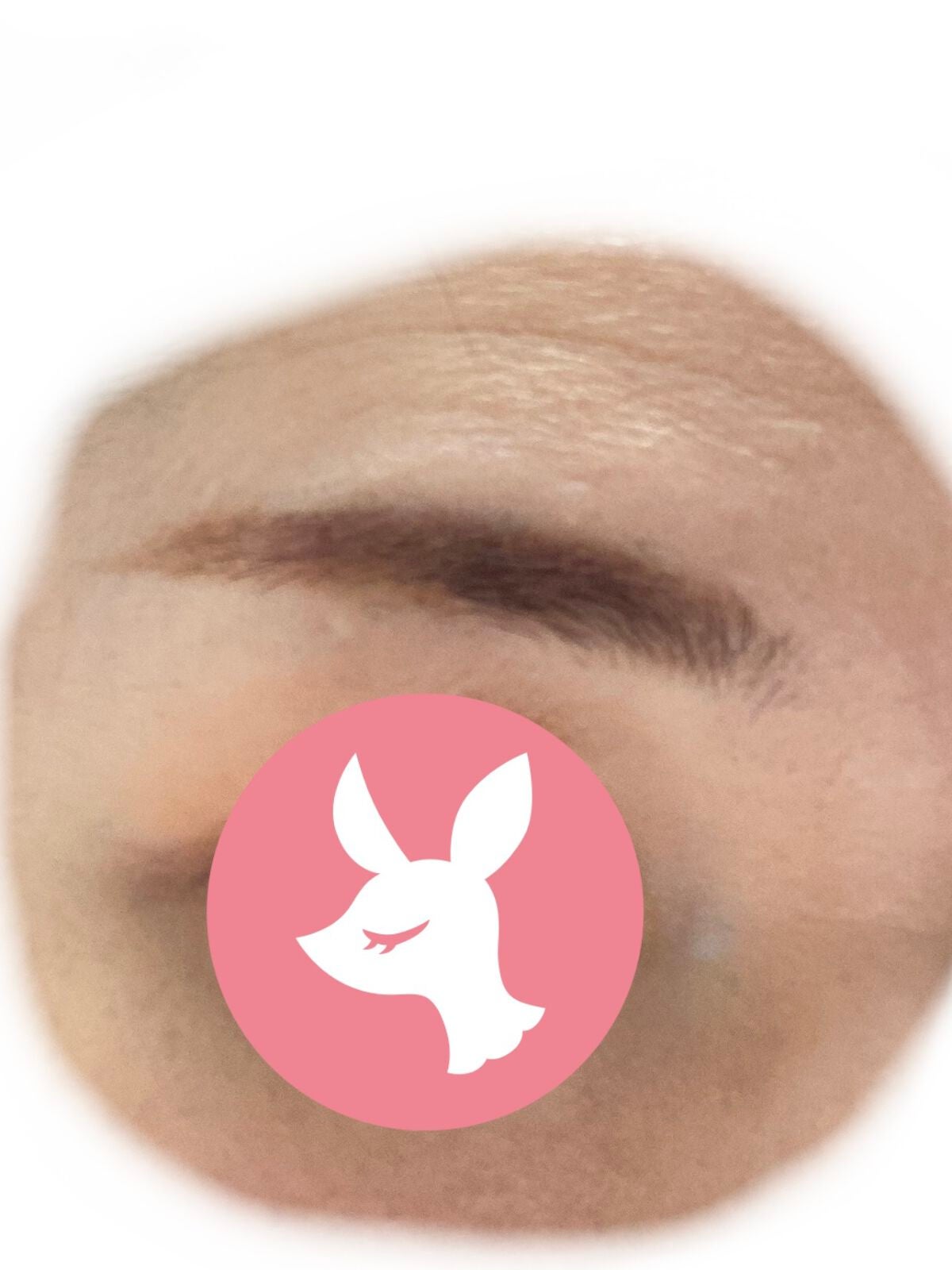 極細アイブロウマスカラ/CEZANNE/眉マスカラを使ったクチコミ(4枚目)