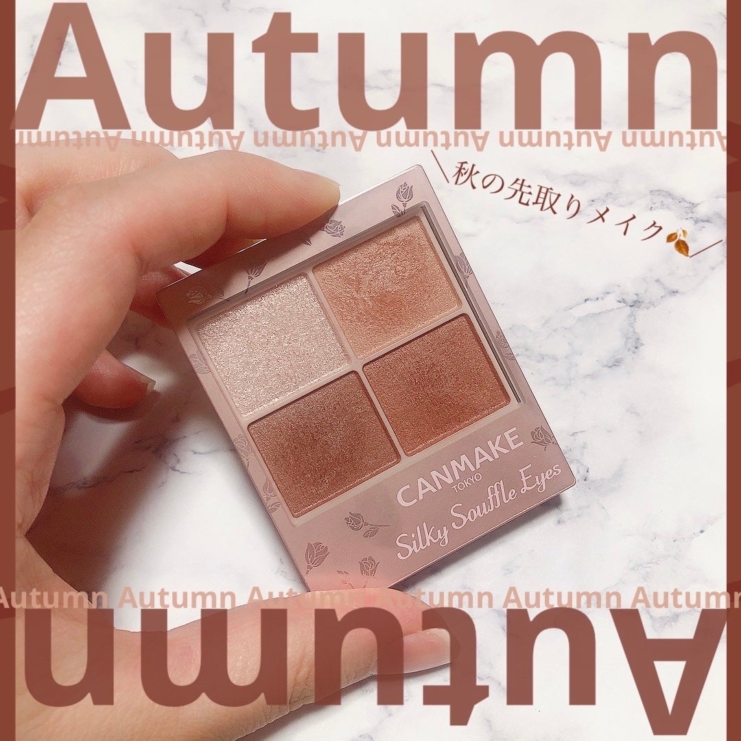 シルキースフレアイズ(マットタイプ)/キャンメイク/アイシャドウパレットを使ったクチコミ(1枚目)