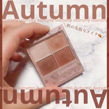 シルキースフレアイズ(マットタイプ)/キャンメイク/アイシャドウパレットを使ったクチコミ(1枚目)