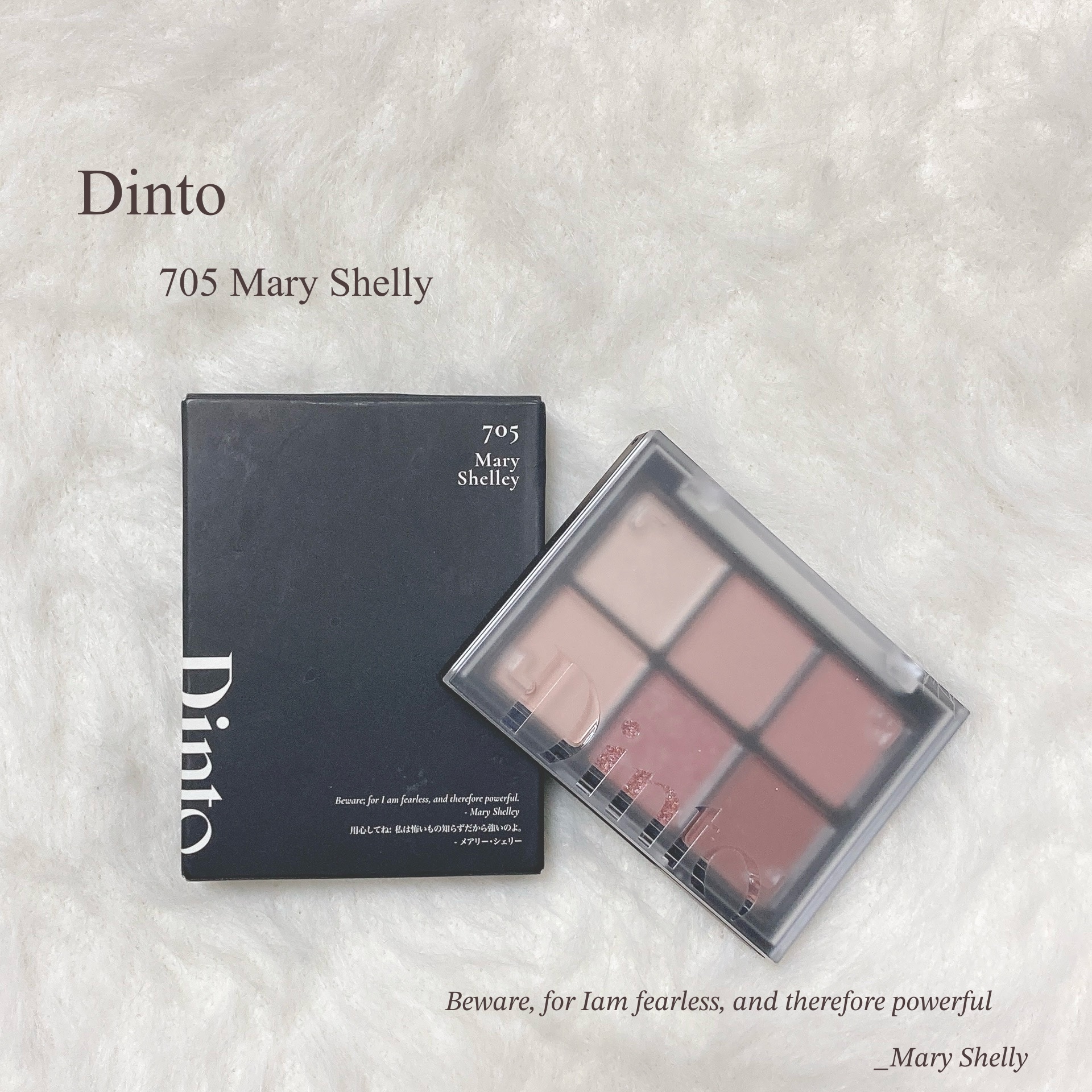 ブラーフィニシュシャドウパレット 705 メリー・シェリー/Dinto/アイシャドウパレットを使ったクチコミ（1枚目）
