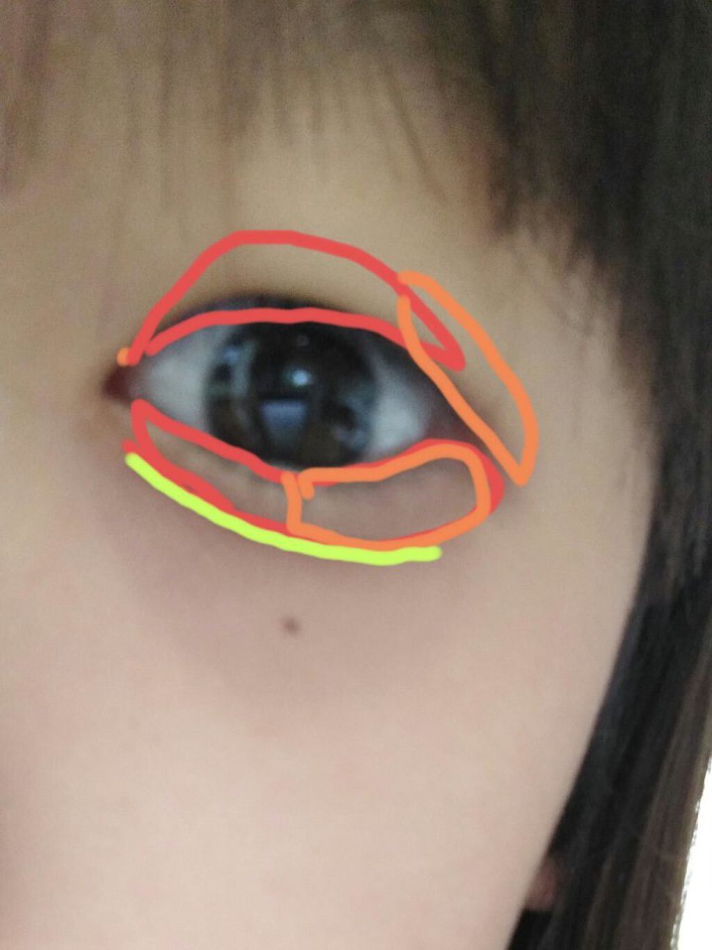 パーフェクトマルチアイズ/キャンメイク/アイシャドウパレットを使ったクチコミ(5枚目)