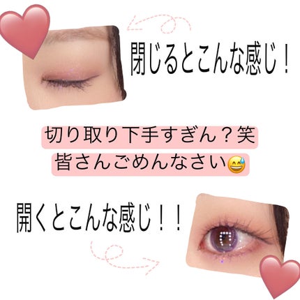長相思シリーズ 9色アイシャドウパレット/CATKIN/アイシャドウパレットを使ったクチコミ(2枚目)