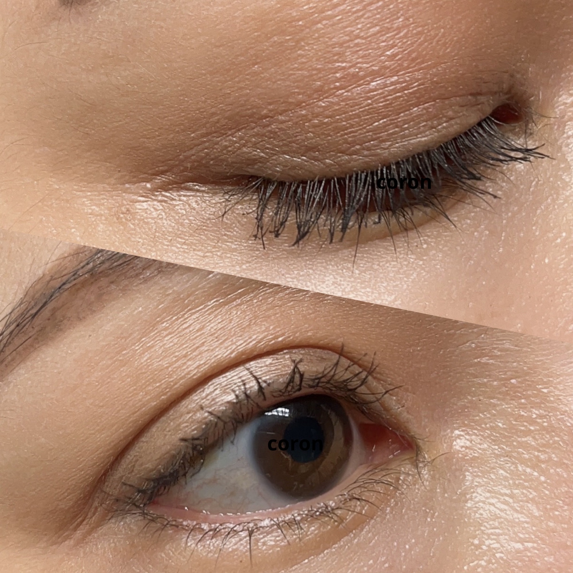 メイクアップ キット 六花/SUQQU/メイクアップキットを使ったクチコミ（2枚目）