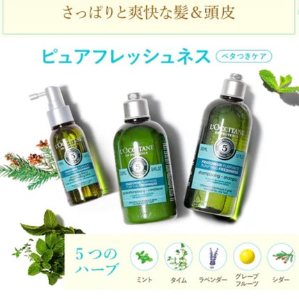 ファイブハーブス ピュアフレッシュネス シャンプー/コンディショナー/L'OCCITANE/市販シャンプーを使ったクチコミ(2枚目)