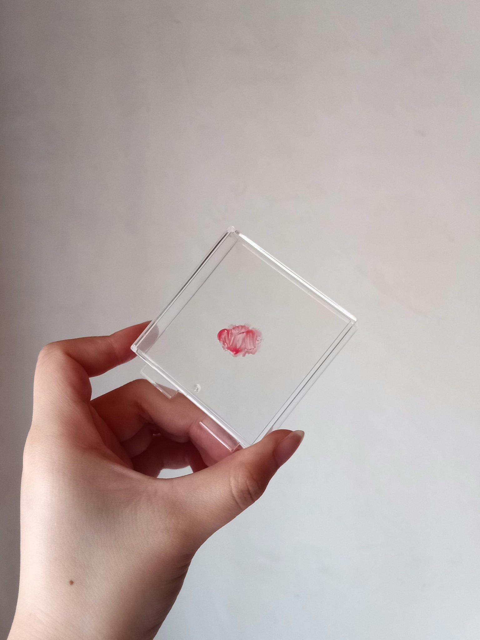 ネーミング デューイグラス リップティント/NAMING./リップティントを使ったクチコミ（2枚目）