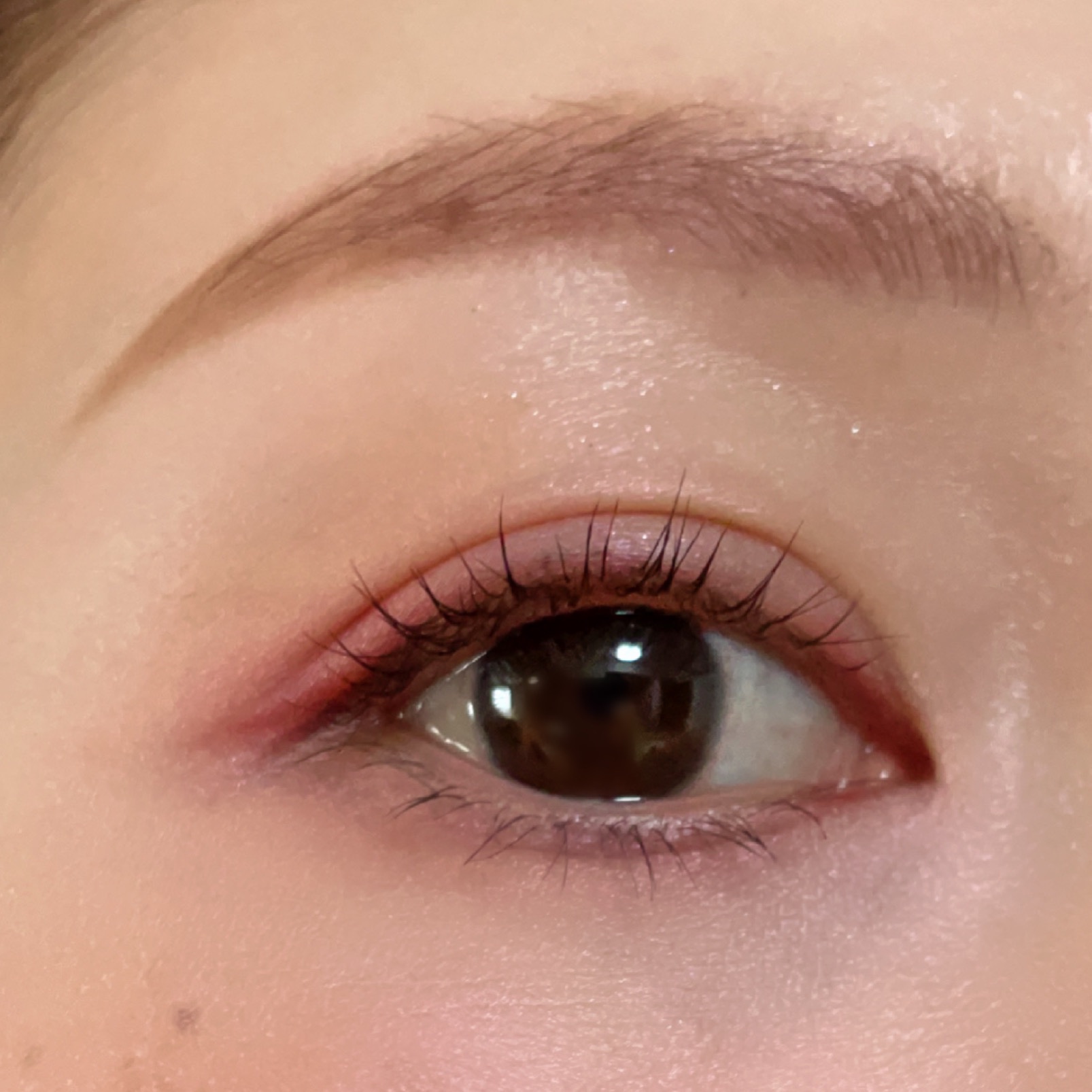 カラーリンググレイズ 01 Pink Flow/LUNASOL/パウダーチークを使ったクチコミ（1枚目）