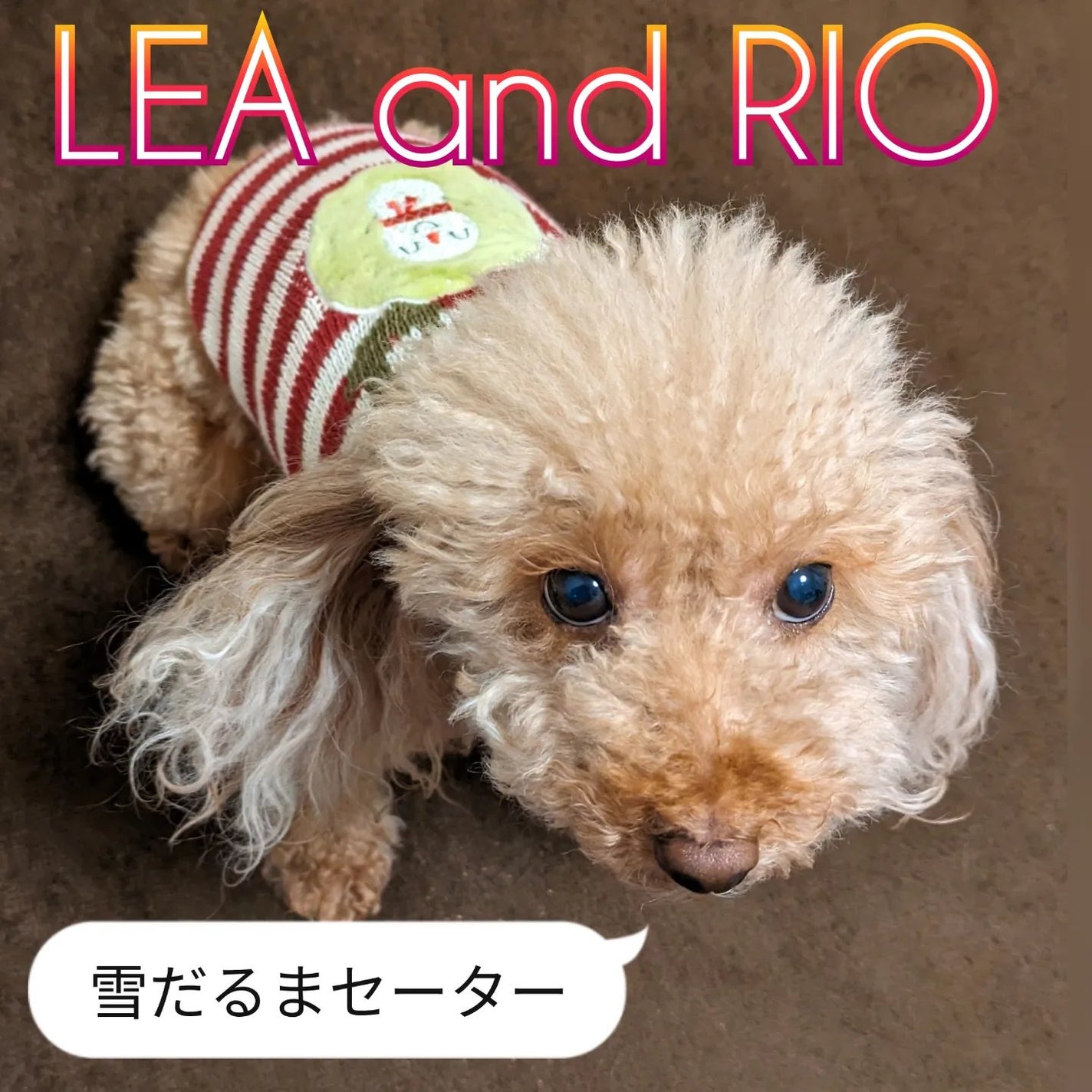 真紅 on LIPS 「LEAandRIO様の【雪だるまセーター】をお試しさせて頂きま..」(1枚目)