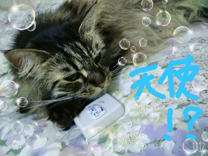 を使ったクチコミ(1枚目)