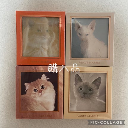 Venus Marble アイシャドウキャットシリーズ/Venus Marble/アイシャドウパレットを使ったクチコミ(1枚目)