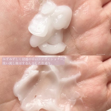 ãšãã»ã³ã·ã£ã«ãã¬ãã¢ã ããªã¢ã·ã£ã³ããŒã»ã³ã³ãã£ã·ã§ã㌠ã·ã«ããŒïŒã¹ã ãŒã¹/ãšãã»ã³ã·ã£ã«/åžè²©ã·ã£ã³ããŒã䜿ã£ãã¯ãã³ãïŒ3æç®ïŒ