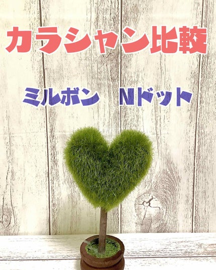オルディーブ アディクシー カラーケアシャンプー/ミルボン/サロンシャンプーを使ったクチコミ(1枚目)