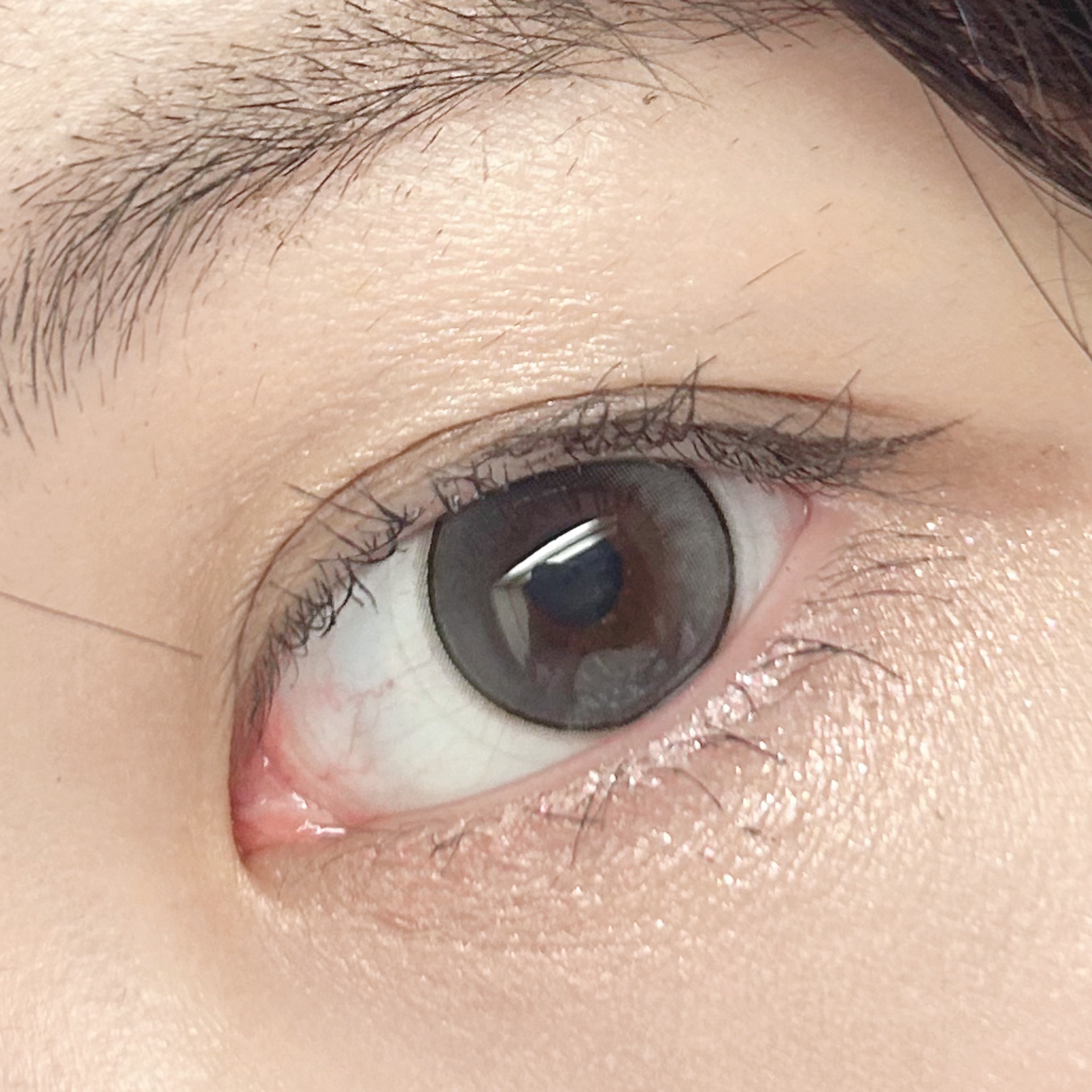 インザミラーアイパレット/Ririmew/アイシャドウパレットを使ったクチコミ（2枚目）