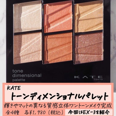 トーンディメンショナルパレット EX-3 コーラルベージュ系/KATE/メイクアップキットを使ったクチコミ（2枚目）