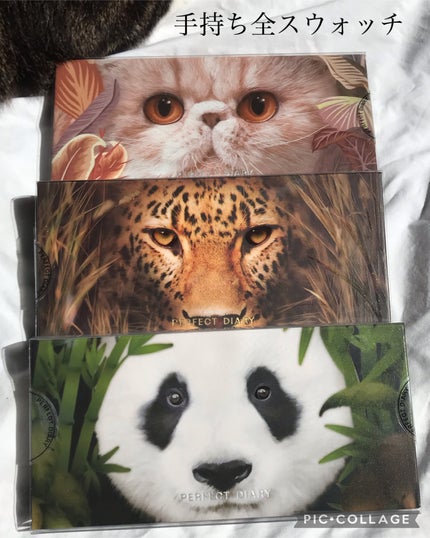 エクスプローラ12色 動物アイシャドウパレット 豹/PERFECT DIARY/アイシャドウパレットを使ったクチコミ(1枚目)