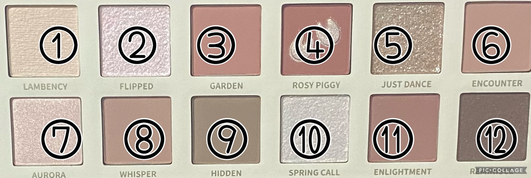 エクスプローラ12色 動物アイシャドウパレット/PERFECT DIARY/アイシャドウパレットを使ったクチコミ（2枚目）