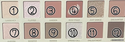 エクスプローラ12色 動物アイシャドウパレット/PERFECT DIARY/アイシャドウパレットを使ったクチコミ(2枚目)