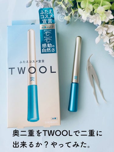 SHOBIDO TWOOLダブルアイリッドハイブリットフィルムのクチコミ「修行要❗️奥二重を二重に出来るか？もうちょっとがんばってみます。

⚠️目のアップ写真あるから.....」（1枚目）