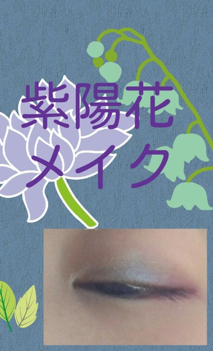 シングルカラー アイシャドウ/DHC/アイシャドウパレットを使ったクチコミ(1枚目)