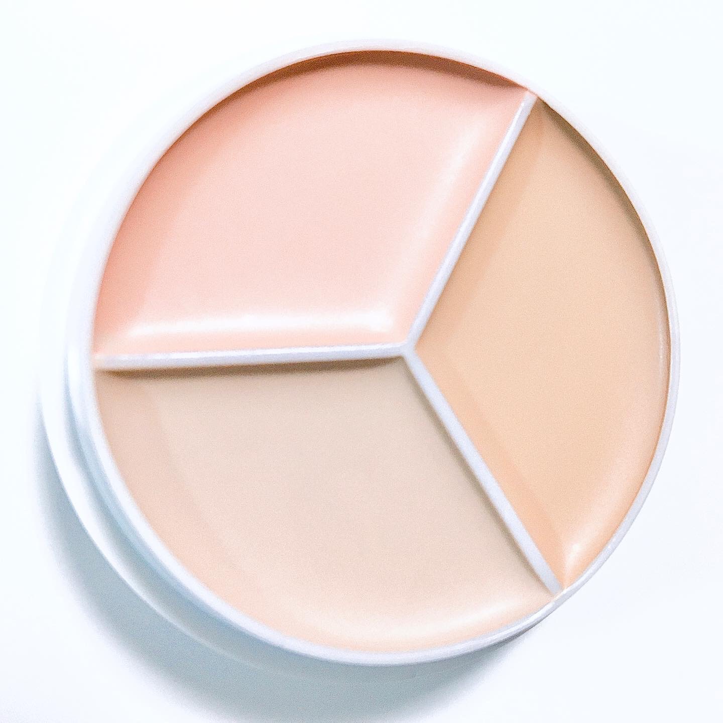 カバーアッププロコンシーラー/TFIT/パレットコンシーラーを使ったクチコミ（3枚目）