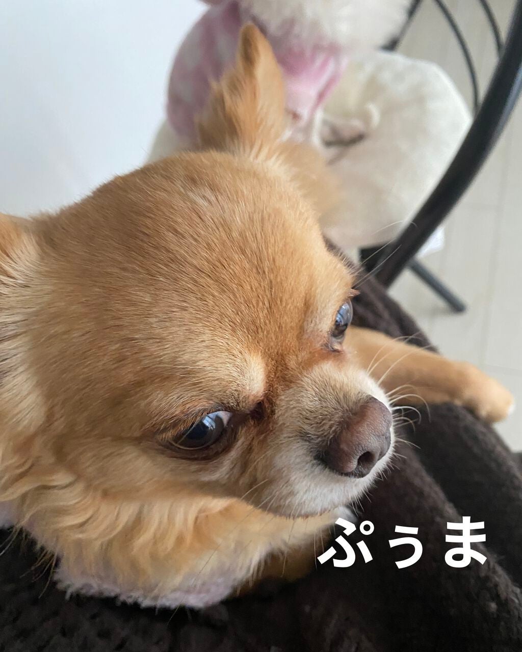 ボディスクラブ/SABON/ボディスクラブを使ったクチコミ(10枚目)