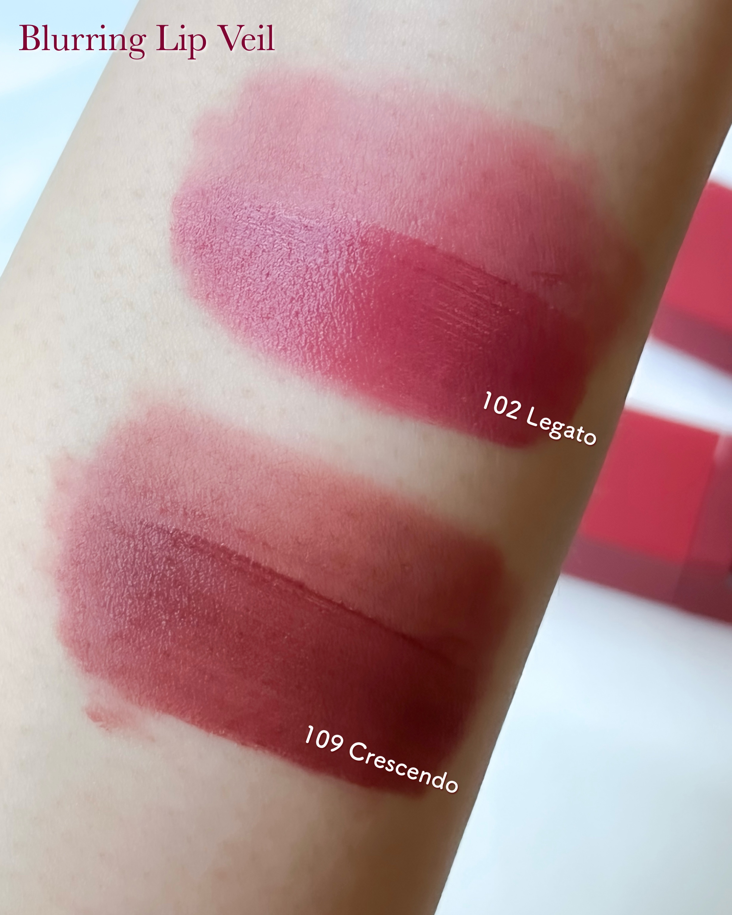 マダムバタフライコレクション ブラーニングリップベール/Dinto/口紅を使ったクチコミ（3枚目）