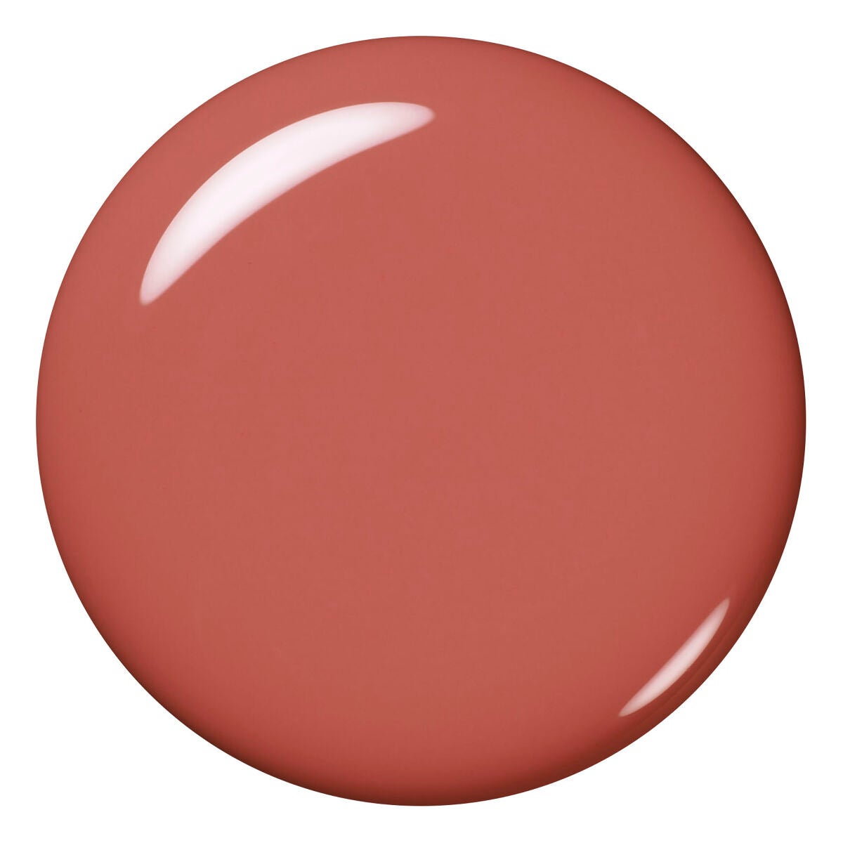 エクシア ヴェルニ 14 ポピーブリーズ