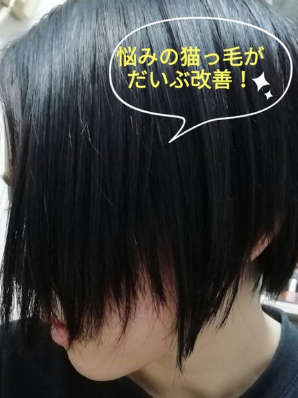 CCオイル/エッセンシャル/ヘアオイルを使ったクチコミ(2枚目)