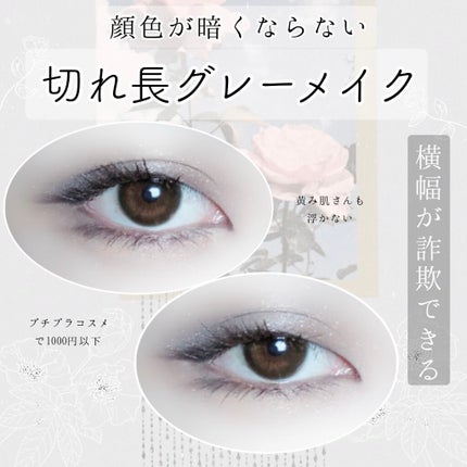 トーンアップアイシャドウ/CEZANNE/アイシャドウパレットを使ったクチコミ(1枚目)