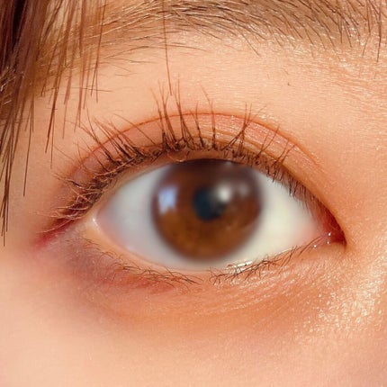 ショコラスウィート アイズ/リンメル ロンドン/アイシャドウパレットを使ったクチコミ(3枚目)