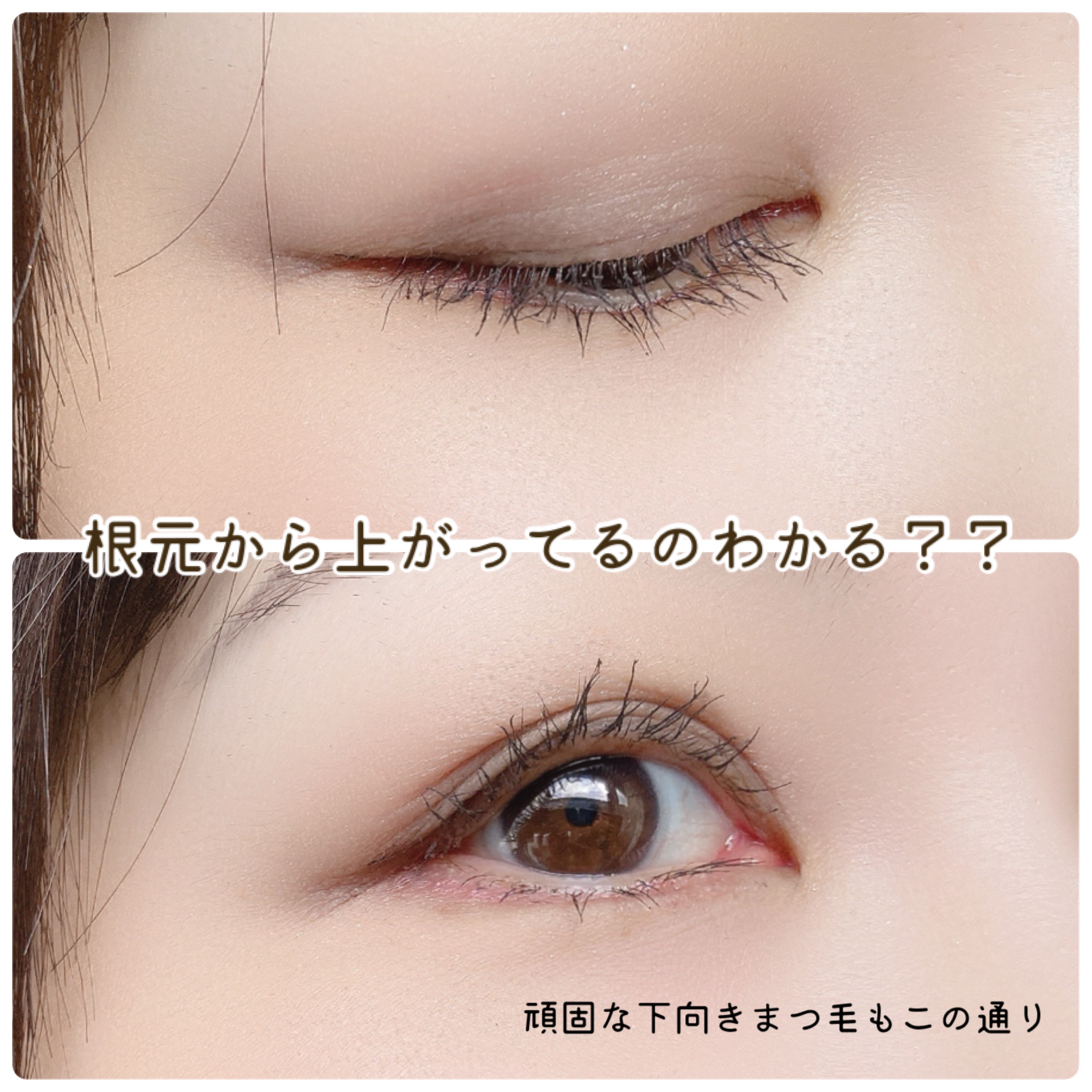 ハイパーリフトマスカラ/D-UP/マスカラを使ったクチコミ（3枚目）